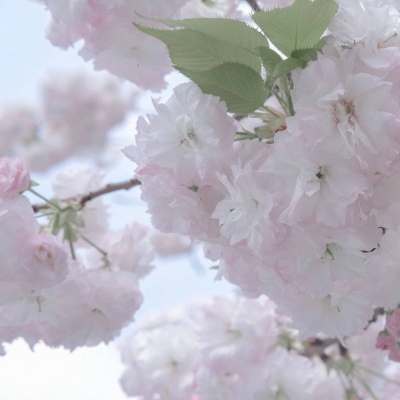 津南FurryQQ群介绍